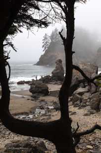 Trinidad beach-5838.jpg Trinidad beach-5838.jpg